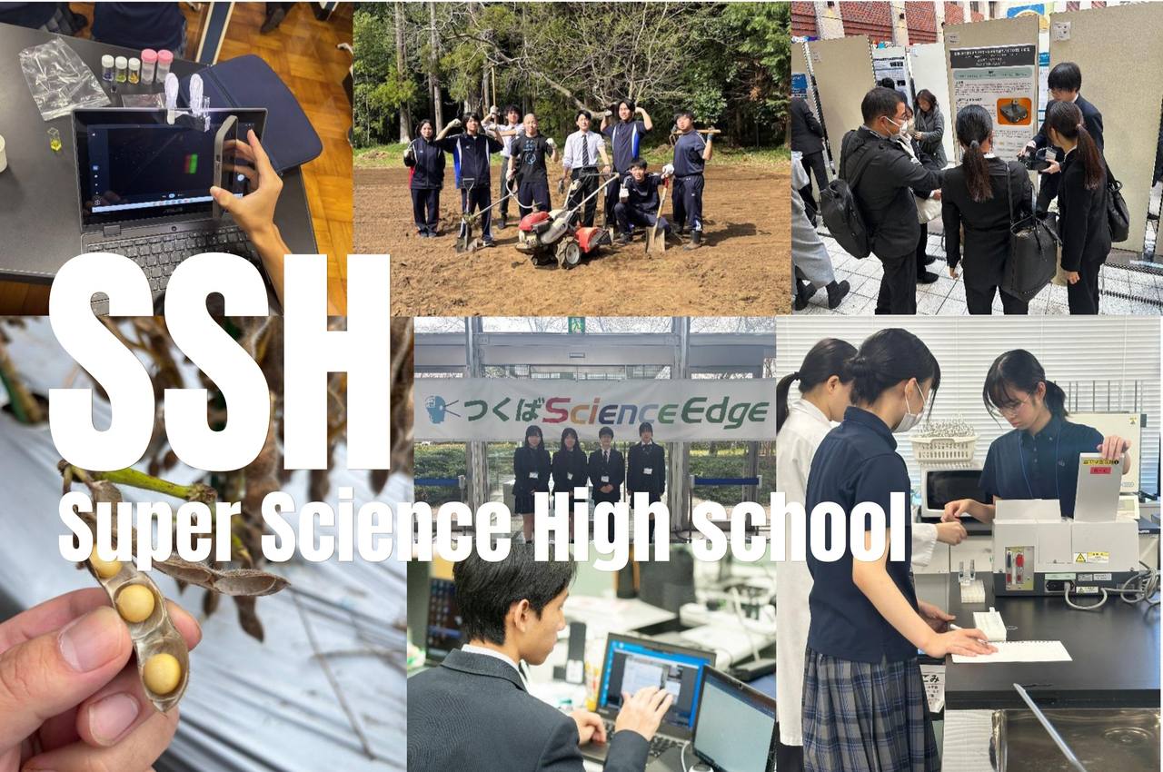 SSH活動の様子(実験・野外調査・発表・研究発表会)